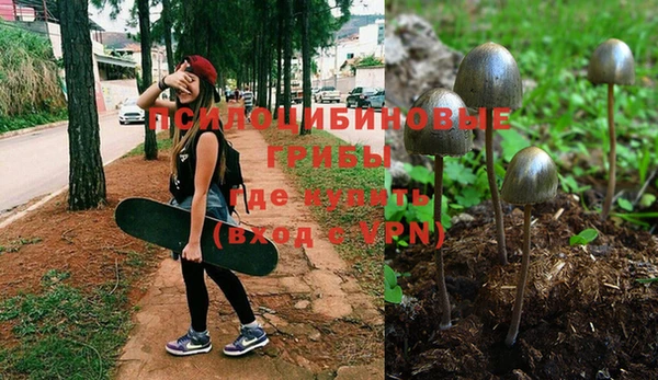 прущая мука Алексин