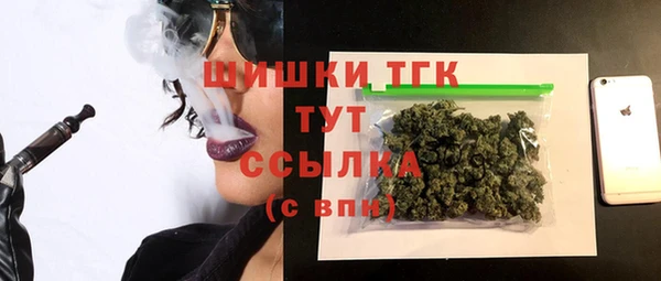 индика Дмитровск