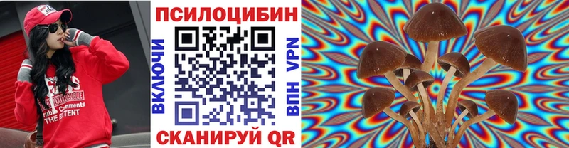 как найти наркотики  Исилькуль  Псилоцибиновые грибы Magic Shrooms 